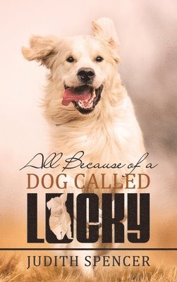 All Because of a Dog Called Lucky 1