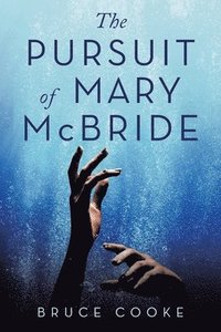 bokomslag The Pursuit of Mary Mcbride