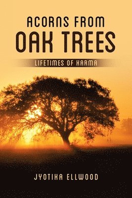 Acorns from Oak Trees 1