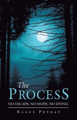 Klaus Petrat - Process, Häftad