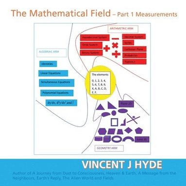 bokomslag The Mathematical Field