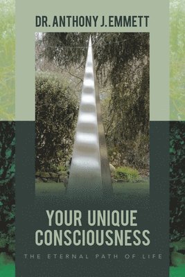 Your Unique Consciousness 1