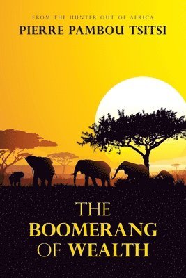 bokomslag The Boomerang of Wealth