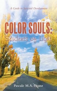 bokomslag Color Souls