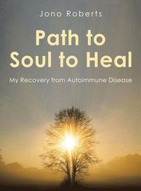 bokomslag Path to Soul to Heal