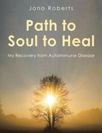 bokomslag Path to Soul to Heal