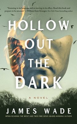 bokomslag Hollow Out the Dark