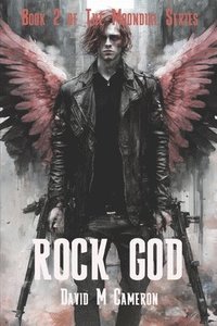 bokomslag Rock God