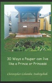 bokomslag 30 Ways a Pauper Can Live Like a Prince or a Princess