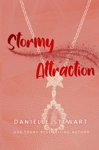 bokomslag Stormy Attraction