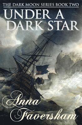bokomslag Under a Dark Star