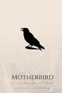bokomslag Motherbird