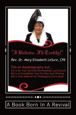 bokomslag I Believe. I'll Testify!: Testimonies of God's Perservation, Preparation and Purpose