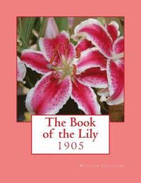 bokomslag The Book of the Lily