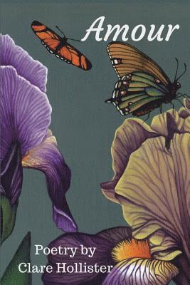 Clare Hollister - Amour, Häftad
