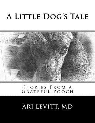 Ari Levitt MD - A Little Dog's Tale: Stories From A Grateful Pooch, Häftad