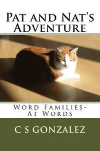 bokomslag Pat and Nat's Adventure: Word Families- At Words