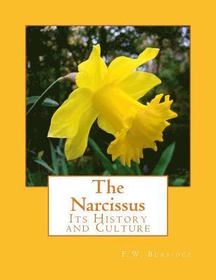 bokomslag The Narcissus: Its History and Culture