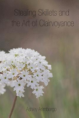 Ashley Ann Arimborgo - Stealing Skillets and the Art of Clairvoyance, Häftad