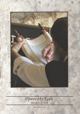 Julie Almanrode - Open My Eyes, Häftad