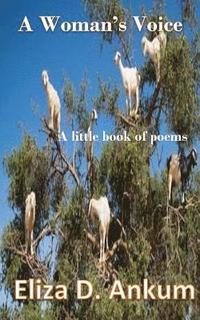 bokomslag A Woman's Voice: A Little Book of Poems