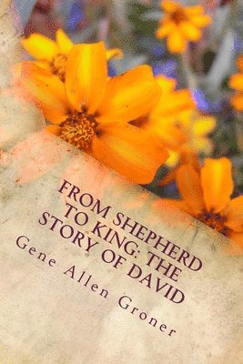 Gene Allen Groner - From Shepherd to King: The Story of David, Häftad