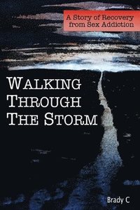 bokomslag Walking Through the Storm: A Story of Recovery from Sex Addiction