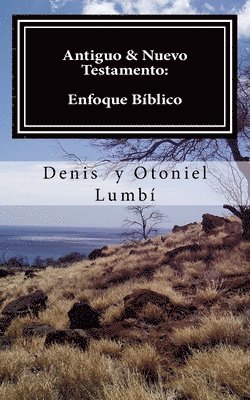 bokomslag Antiguo & Nuevo Testamento