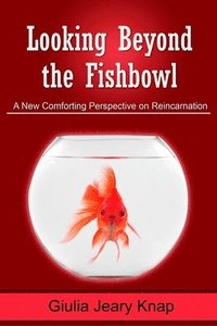 bokomslag Looking Beyond the Fishbowl: A New Comforting Perspective on Reincarnation