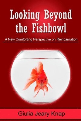 Looking Beyond the Fishbowl: A New Comforting Perspective on Reincarnation 1