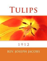 bokomslag Tulips