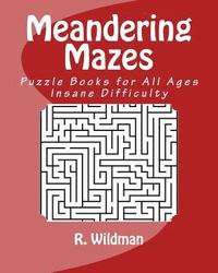 bokomslag Meandering Mazes: Puzzle Books for All Ages - Insane Difficulty