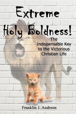 bokomslag Extreme Holy Boldness: The Indispensable Key to the Victorious Christian Life