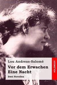 bokomslag Vor dem Erwachen / Eine Nacht: Zwei Novellen