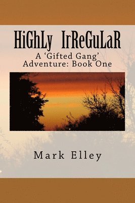 bokomslag Highly Irregular: A 'Gifted Gang' Adventure: Book One