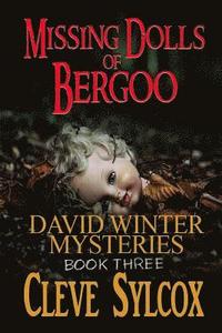 bokomslag Missing Dolls of Bergoo: David Winter Mysteries - Book 3