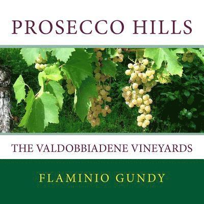 Flaminio Gundy - Prosecco hills, Häftad