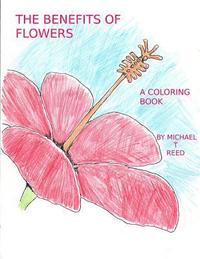 bokomslag Benefits of Flowers