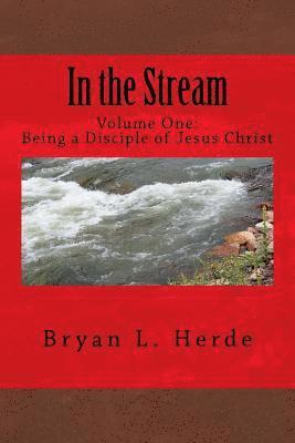 bokomslag In the Stream: Being a Disciple of Jesus Christ