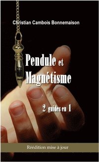 bokomslag Pendule et magnétisme: 2 guides en 1