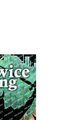 bokomslag The Twice King (an Outlier prequel novella)