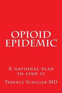 bokomslag Opioid Epidemic: A national plan to stop it