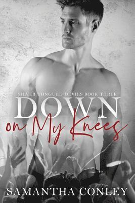 bokomslag Down on My Knees: Silver Tongued Devils Series