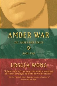 bokomslag Amber War
