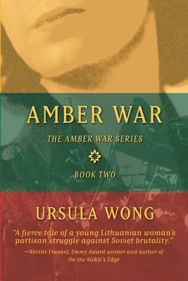 Amber War 1