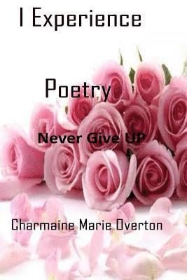 bokomslag I Experience Poetry: Never Give UP