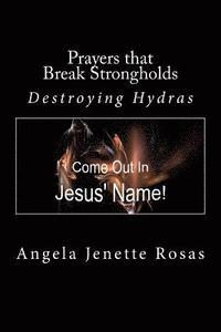 bokomslag Prayers that Break Strongholds: Destroying Hydras
