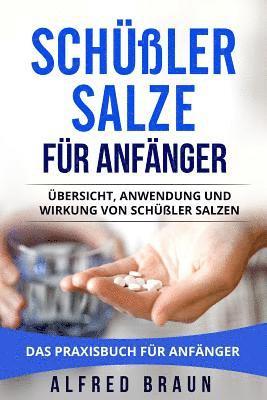 Schüßler Salze für Anfänger: Übersicht, Anwendung und Wirkung von Schüßler Salzen. Das Praxisbuch für Anfänger. 1