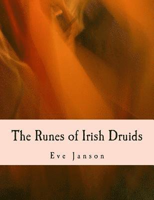 bokomslag The Runes of Irish Druids