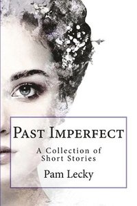 bokomslag Past Imperfect